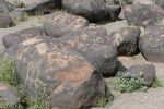 PICTURES/Painted Rock Petroglyph Site/t_P1000185.JPG